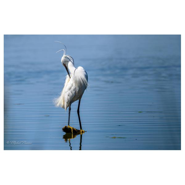 PHOTO84, CLUB, 84 , LUBERON